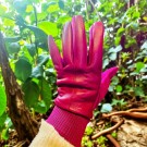 Bella Hansker thumbnail