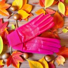 Bella Hansker thumbnail